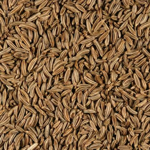 The methodological principles for the cultivation of caraway – APRIM
