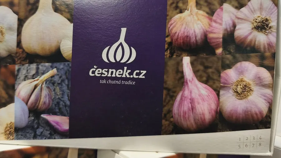 Česnek – 2026 podzim