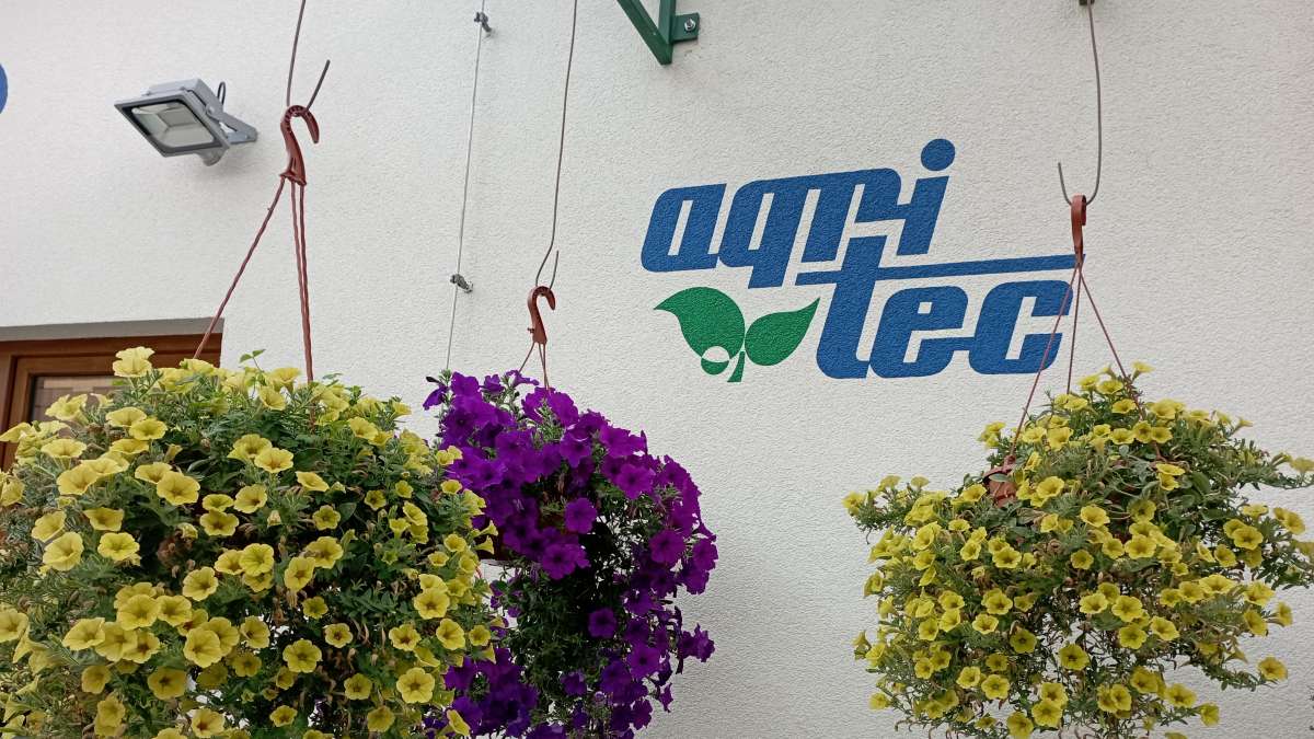 osázený závěsný květináč