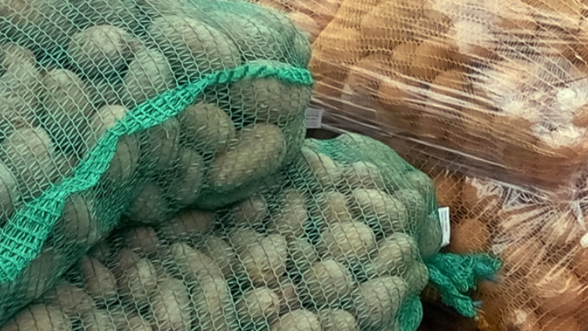 brambory na uskladnění