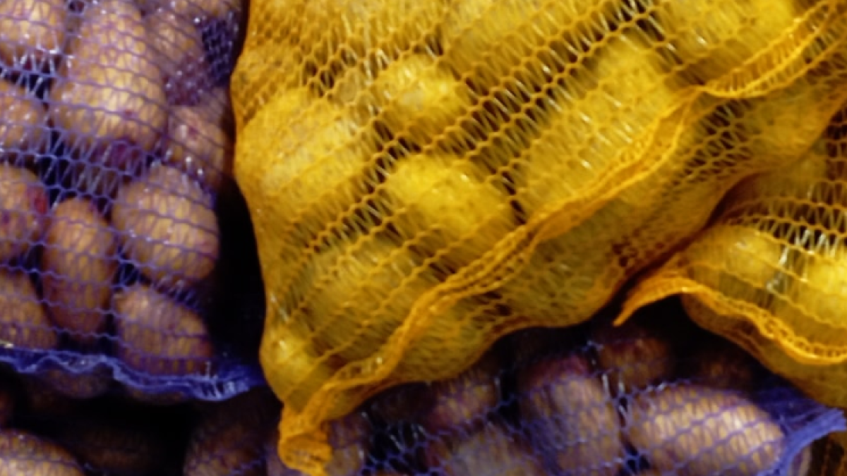 Brambory, Agrtec, 14 Kč za kg