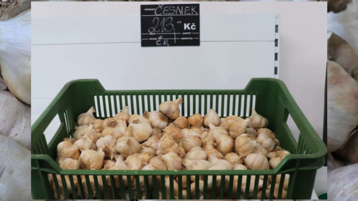 Česnek ze Statku u Veverků