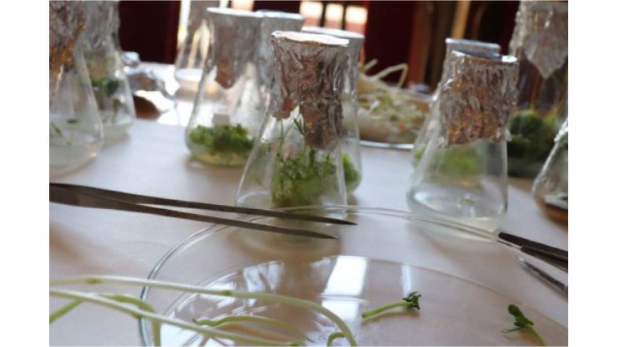 Den fascinace rostlinami v Agritecu 2022