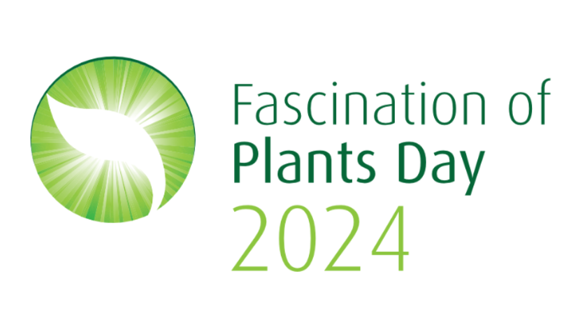 Fascination of Plants Day 2024 - logo