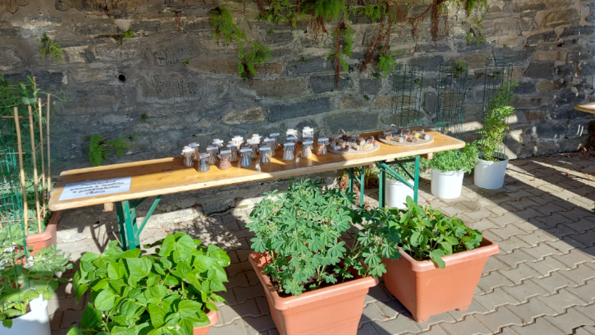 Den fascinace rostlinami - Agritec 2023