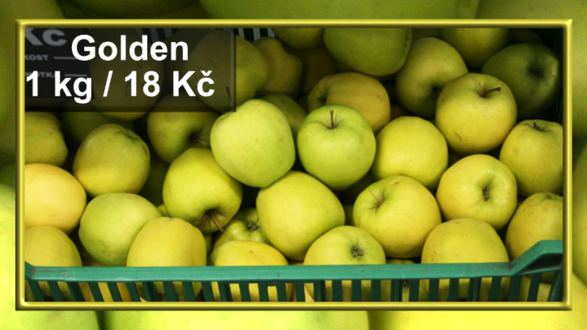 Prodejna Agritec - Golden 18 Kč/kg