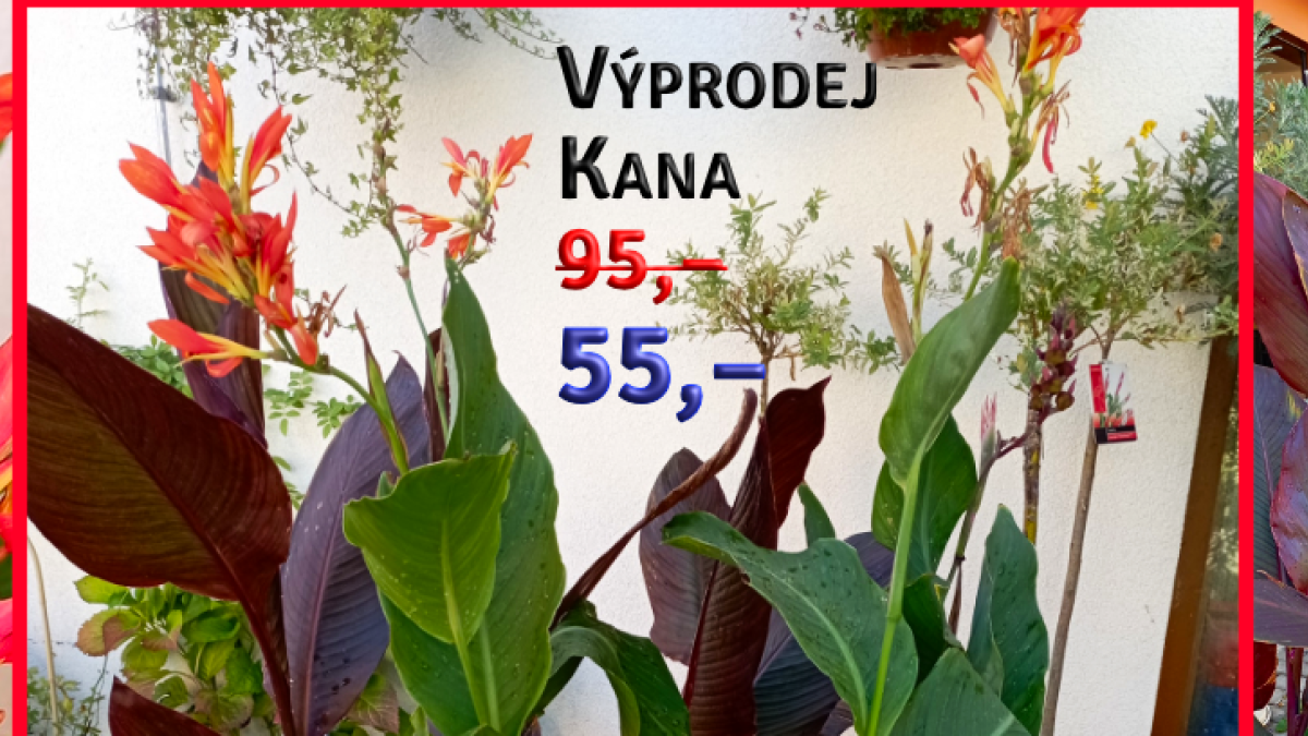 Kana - výprodej