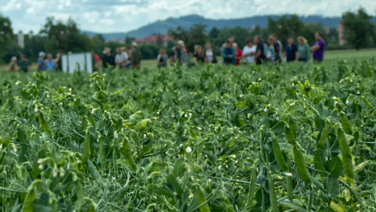 Polní dny Agritec 2023
