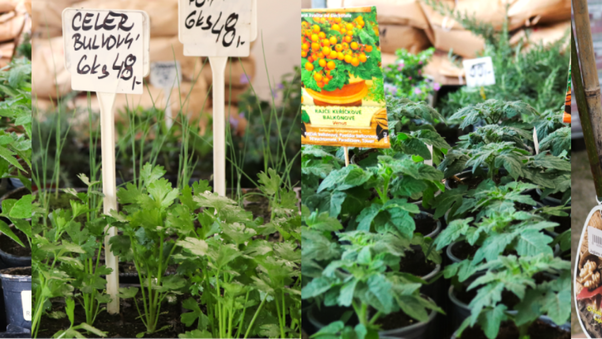 Nabídka prodejny Agritec 2023-04-11