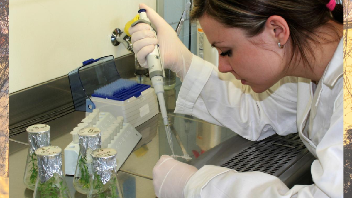 Agritec Plant Research Ltd