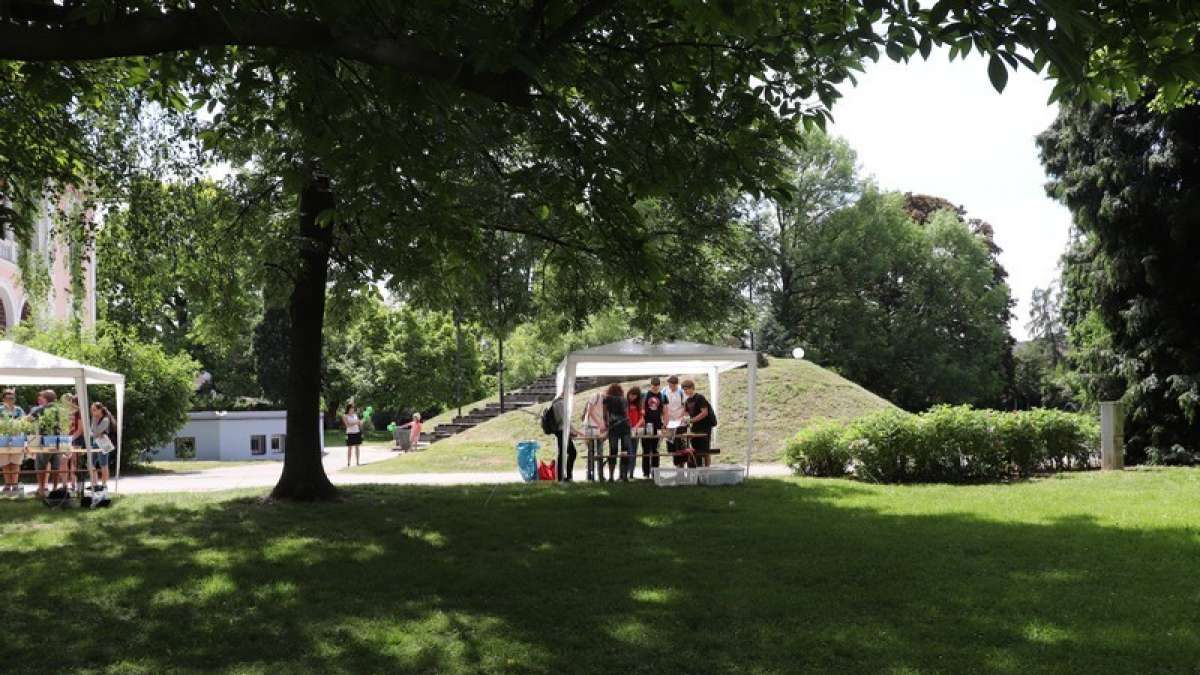 Fascinace rostlinami 2018