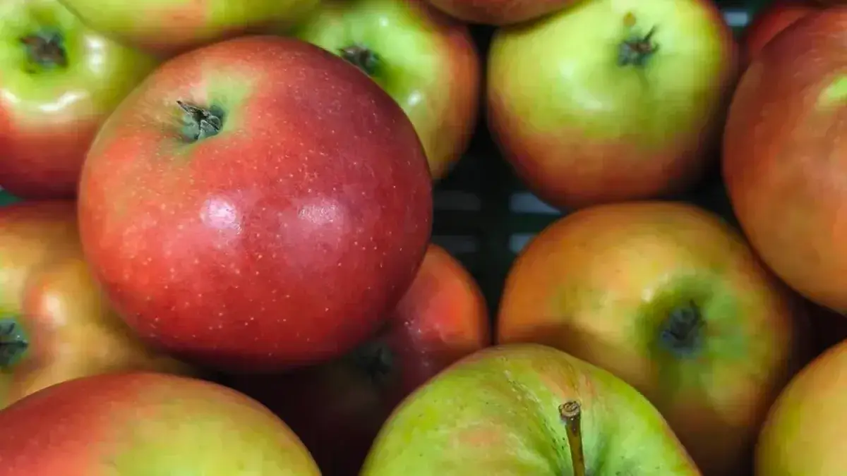 Prodejna Agritec - podzimní nabídka