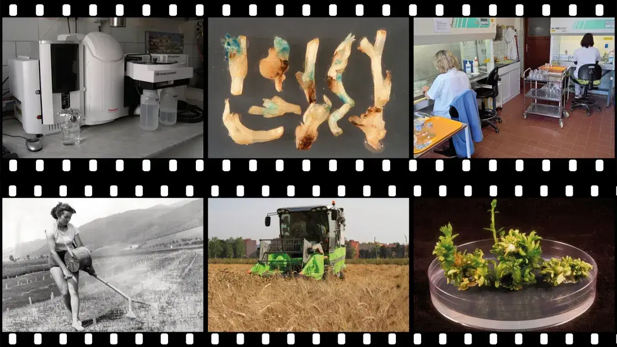 Výzkum v Agritecu