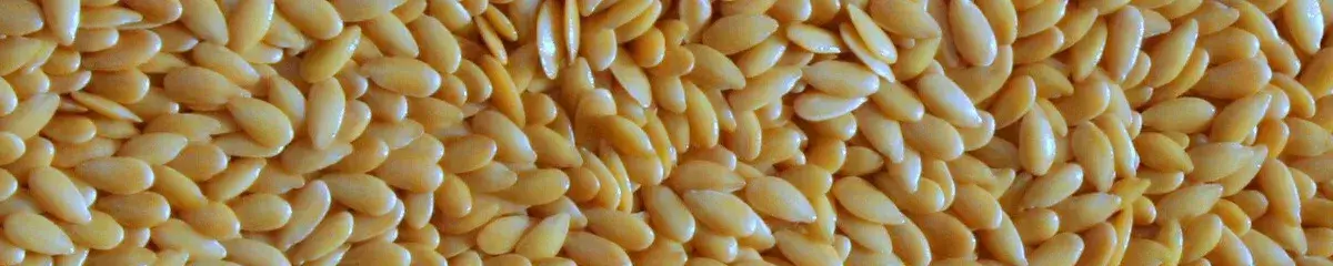 Osivo lnu Agritec