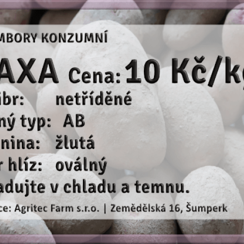 Brambory konzumní Axa