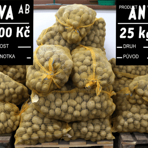 Brambory konzumní k uskladnění Milva, Antonie