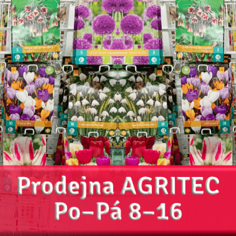 Cibuloviny - prodejna Agritec