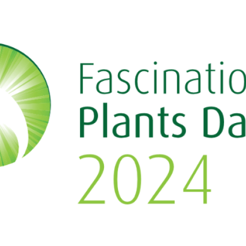 Fascination of Plants Day 2024 - logo