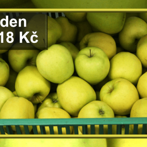 Prodejna Agritec - Golden 18 Kč/kg