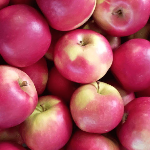 AKCE jablka IDARED 20 Kč za kg
