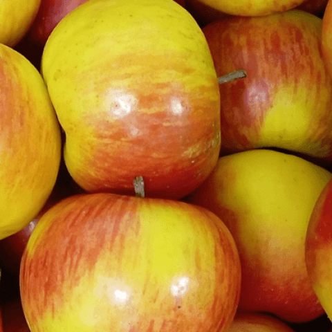 Jablka Topaz