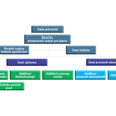 organizační schéma