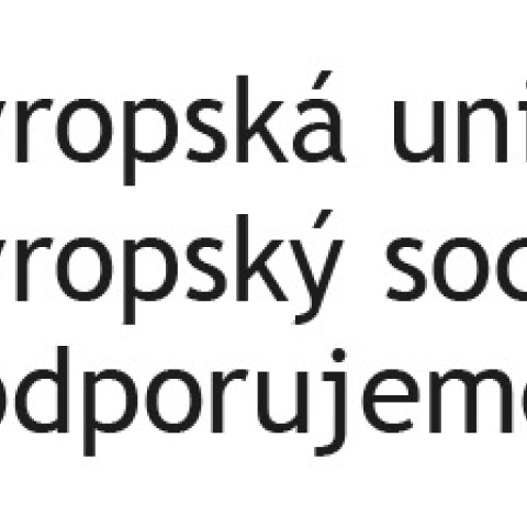 Nové pracovní příležitosti – Společensky účelná pracovní místa