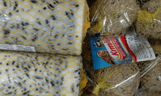 Slunečnice a další krmivo pro ptactvo