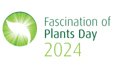 Fascination of Plants Day 2024 - logo