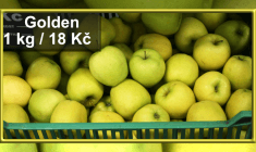 Prodejna Agritec - Golden 18 Kč/kg