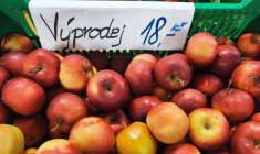 Jablka Idared 18 Kč/kg