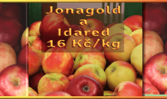 Jonagold a Idared 16 Kč/kg