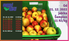 Jablka Šampion za 11 Kč/kg