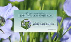 Agram - The 20 Most Innovative Plant Varieties of 2020