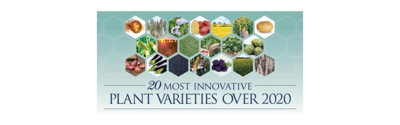 20 most innovative plant varieties 2020 – AGRAM