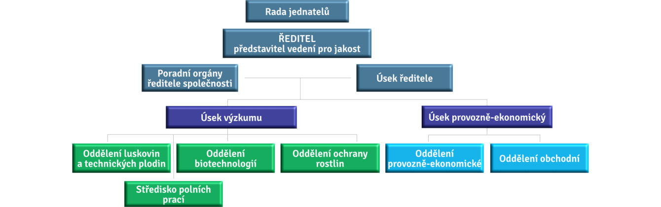 organizační schéma