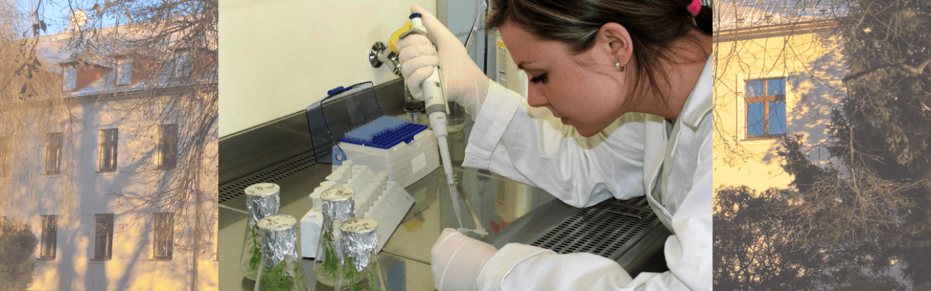 Agritec Plant Research Ltd