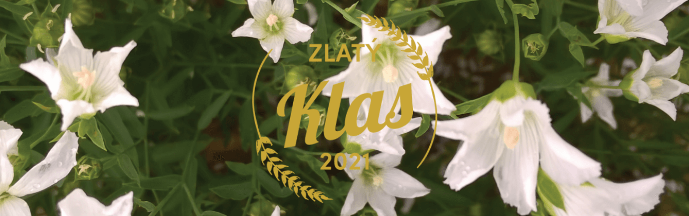 ASTELLA - olejný len